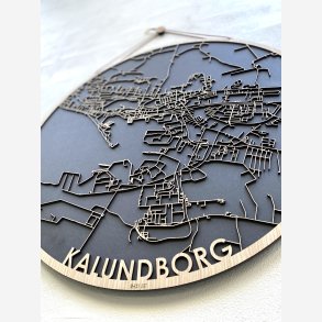 Kalundborg bykort i tr
