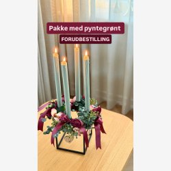 Pyntegr�nt-pakke BORDEAUX - forudbestilling