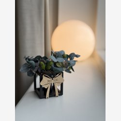 MKay Arts krans til Kubus 1