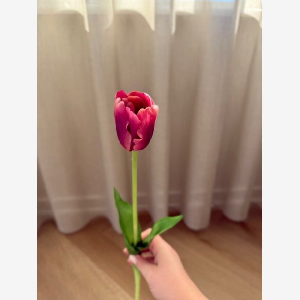 M�rker�d tulipan