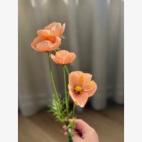 Stolt Kavaler orange