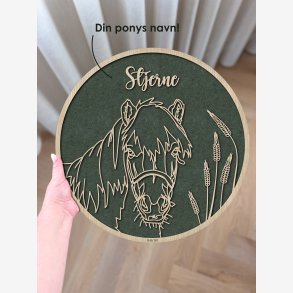 Stregtegning - Shetlandspony