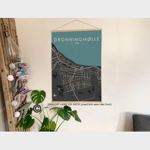 Dronningmlle byplakat 50 stk