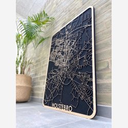 Holstebro bykort i tr